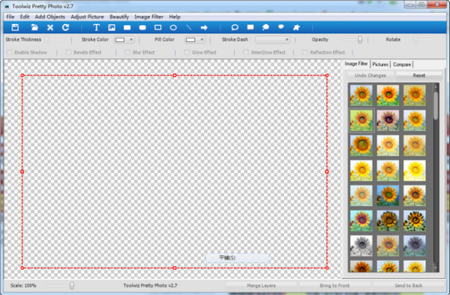 Toolwiz Pretty Photo